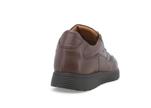 Melluso Uomo Scarpe basse Pelle U16252W-239050 Marrone